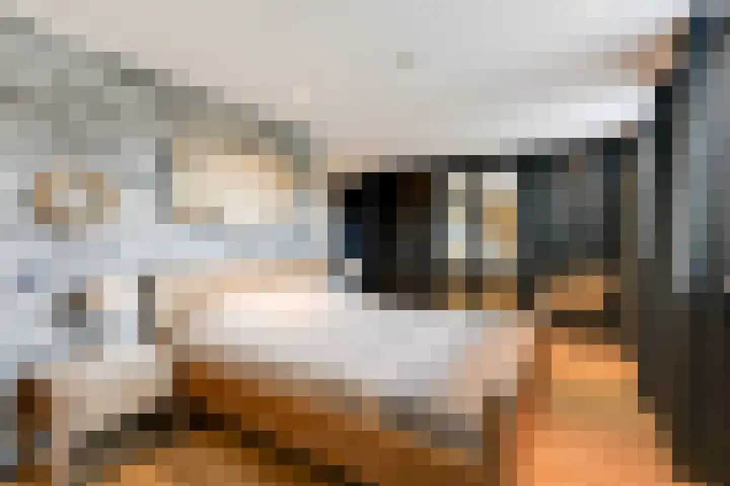 Lage Horst 3 Wehl thumbnail 46