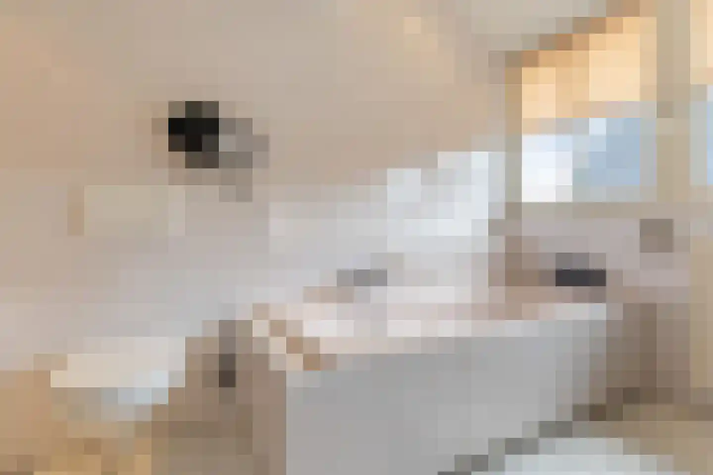 Lage Horst 3 Wehl thumbnail 53