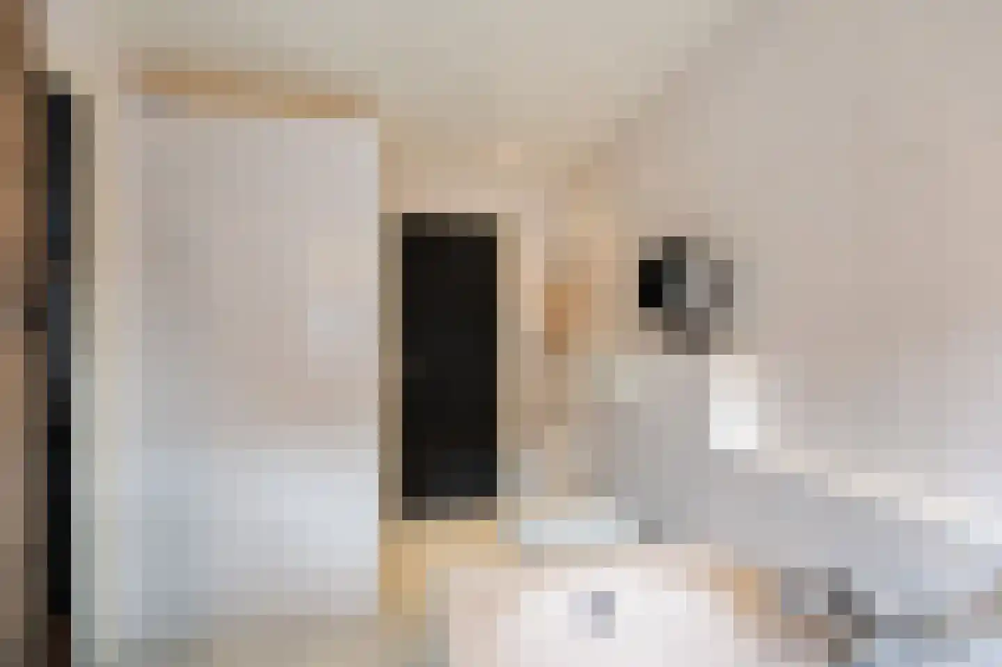 Lage Horst 3 Wehl thumbnail 54