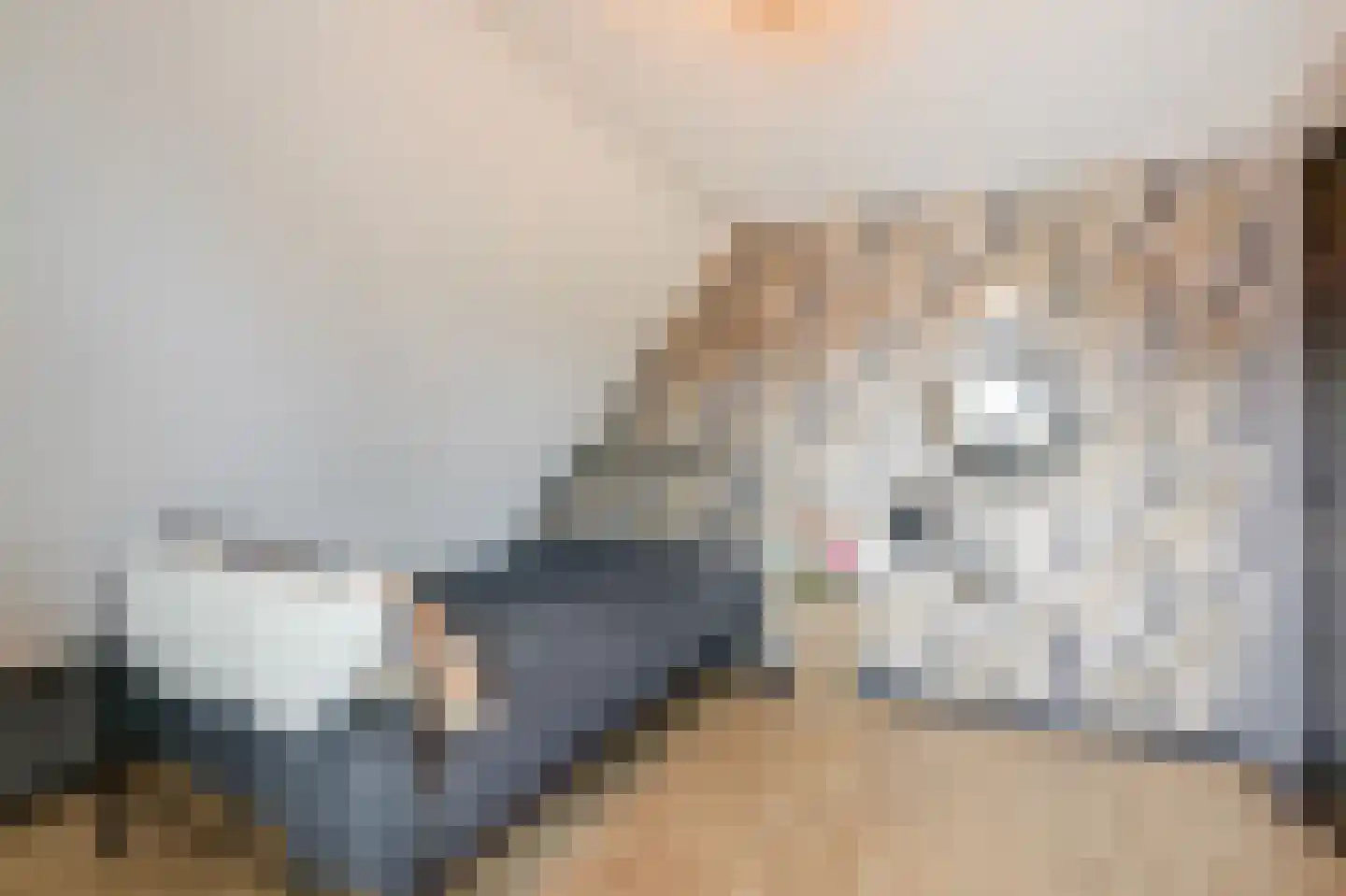 Lage Horst 3 Wehl thumbnail 57