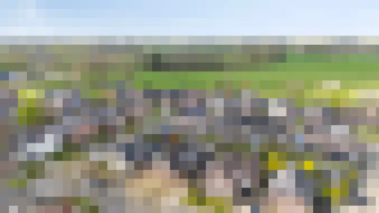 Lage Horst 3 Wehl thumbnail 77