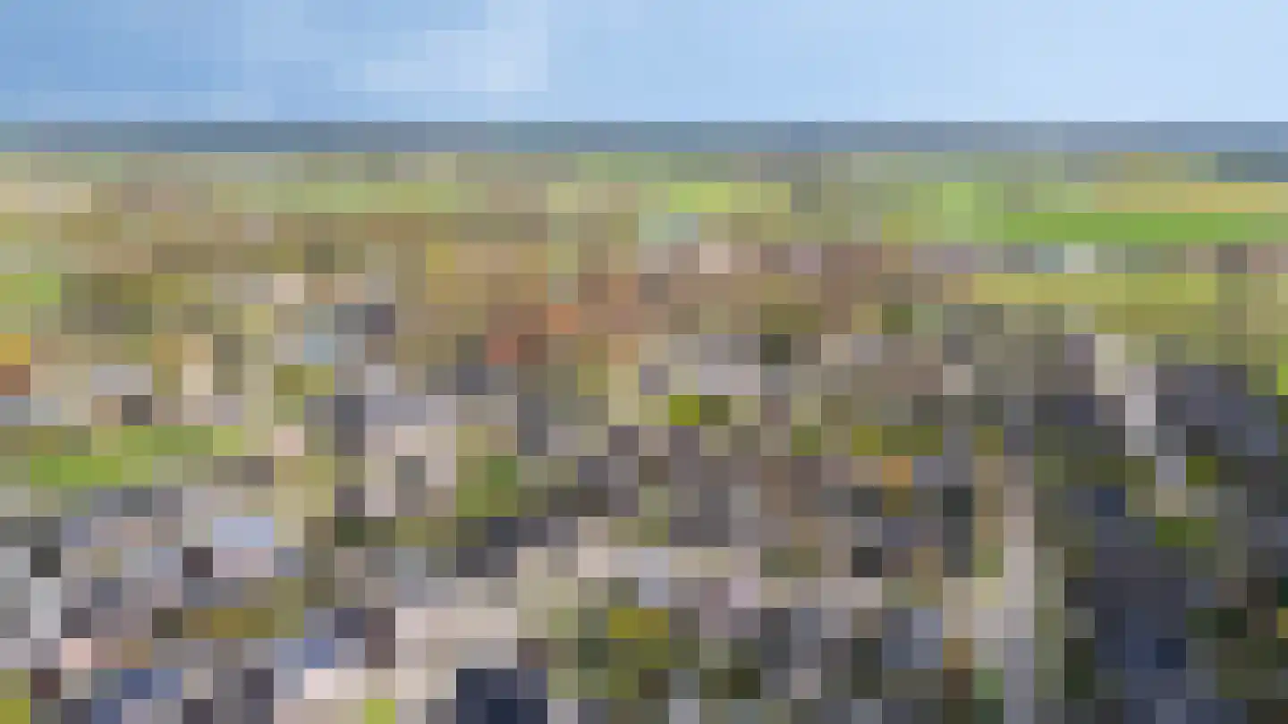 Lage Horst 3 Wehl thumbnail 78