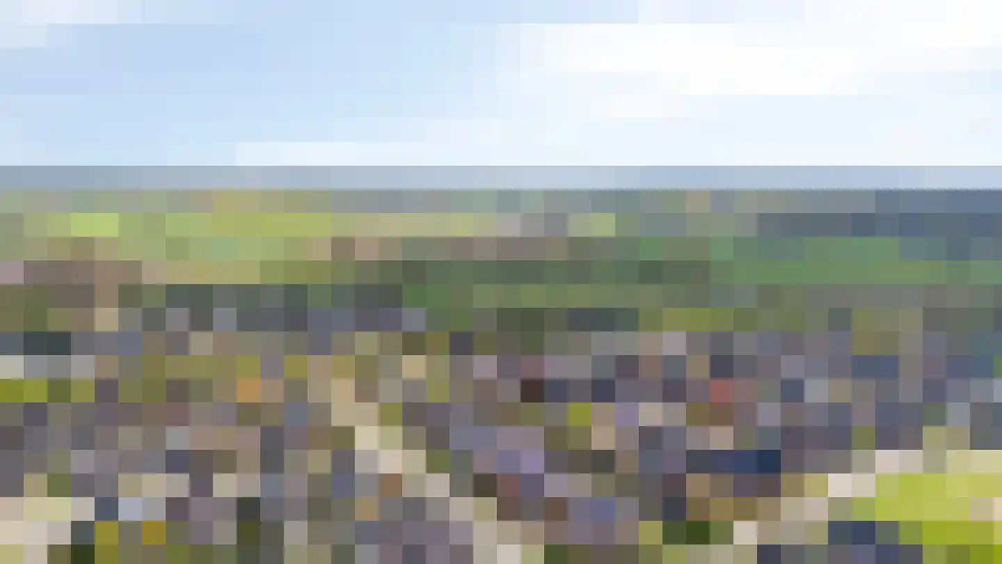Lage Horst 3 Wehl thumbnail 79