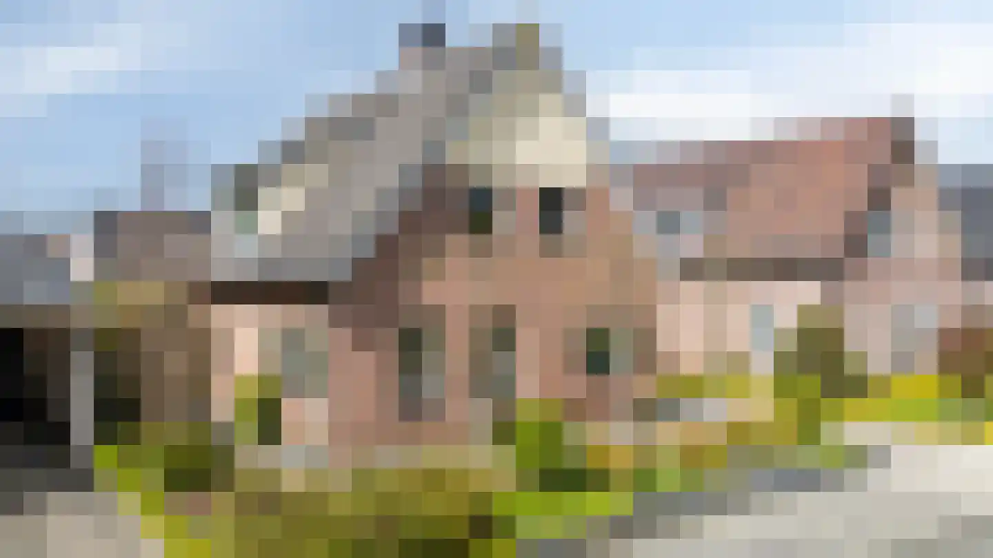 Lage Horst 3 Wehl thumbnail 9