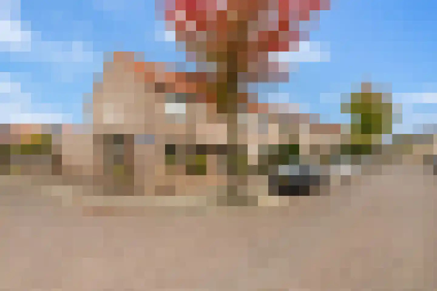 Lage Huis 2 Beesd thumbnail 40