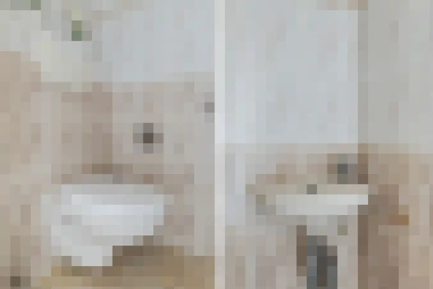 Lage Huis 2 Beesd thumbnail 6