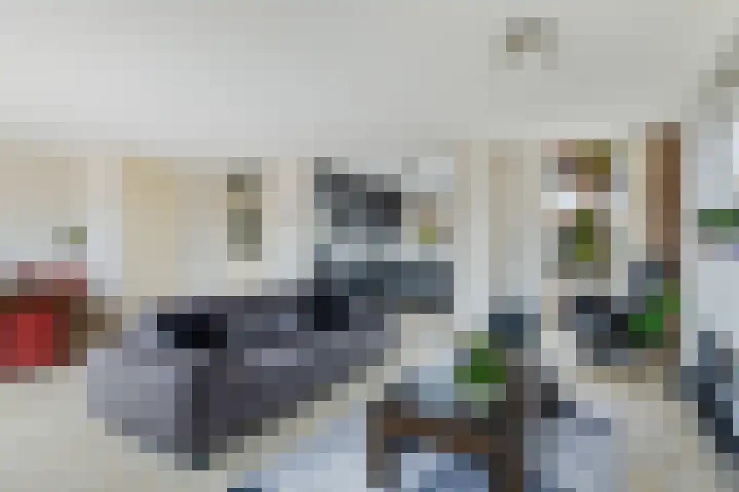 Lage Huis 2 Beesd thumbnail 9