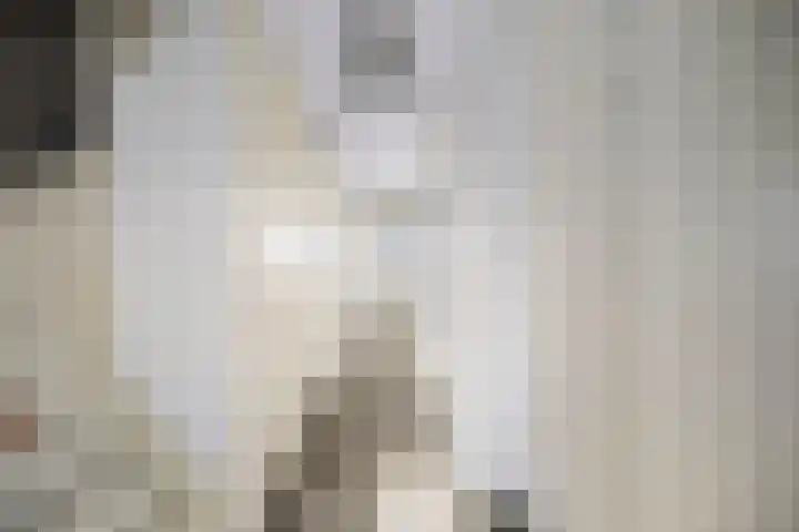 Lage kamp 15 Terwolde thumbnail 30