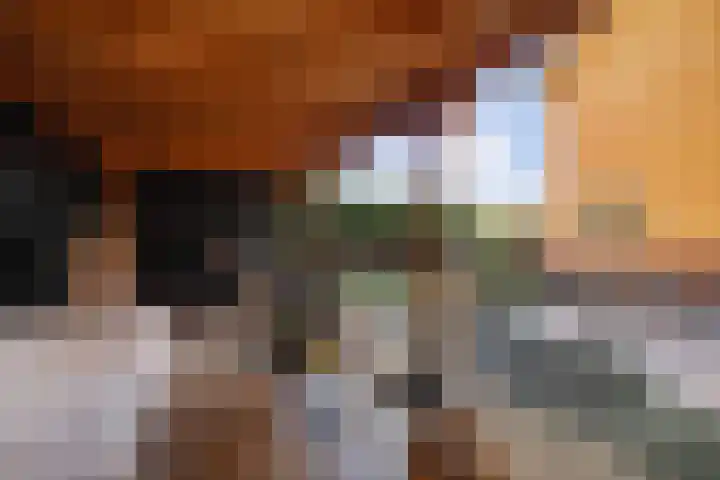 Lage kamp 15 Terwolde thumbnail 37
