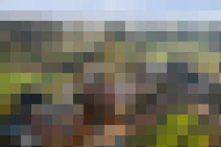 Lage kamp 15 Terwolde thumbnail 47