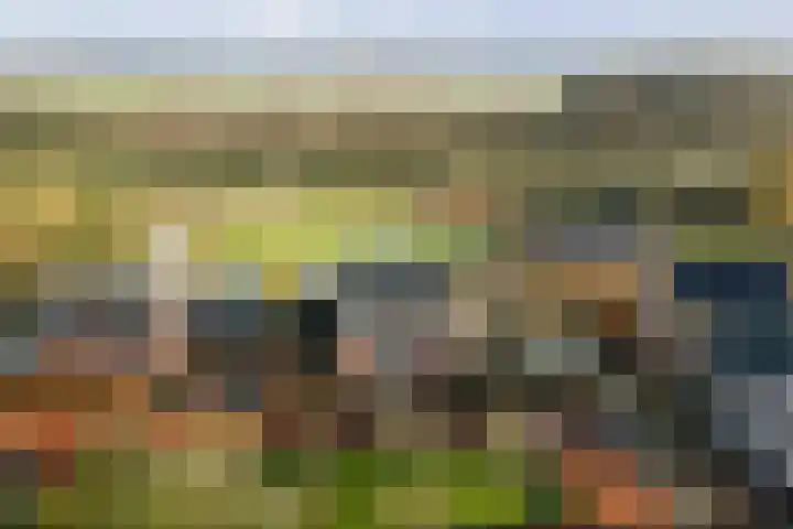 Lage kamp 15 Terwolde thumbnail 48