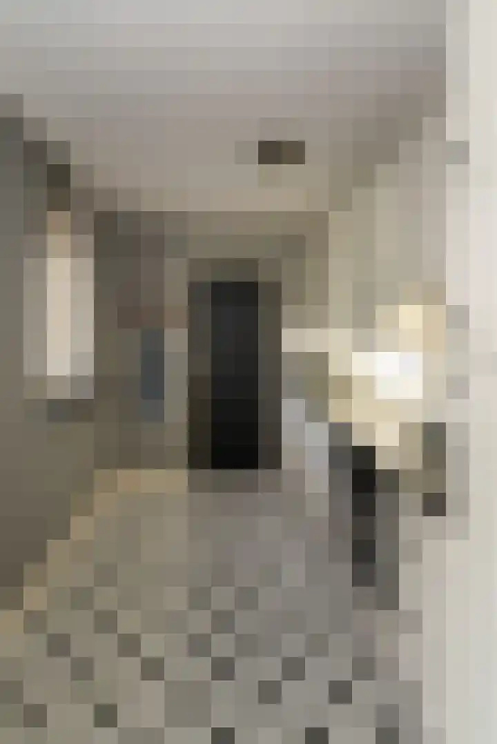 Lage Kamp 16 Denekamp thumbnail 11