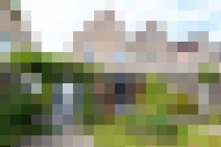 Lage Kamp 16 Denekamp thumbnail 27