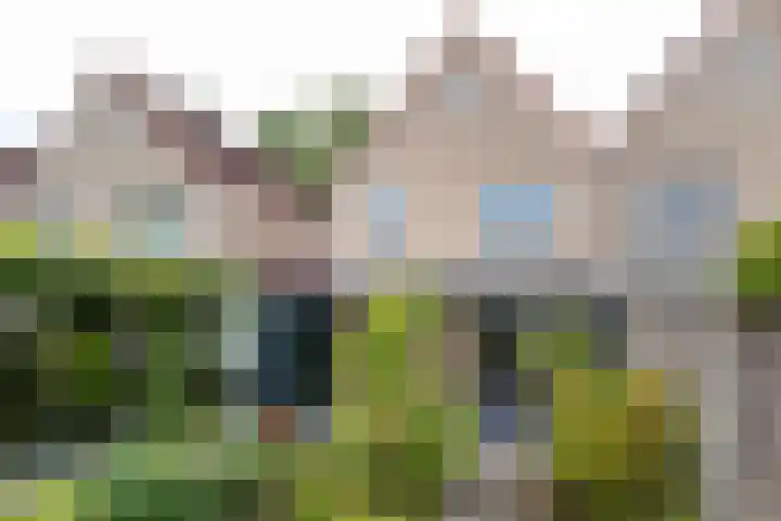 Lage Kamp 16 Denekamp thumbnail 29