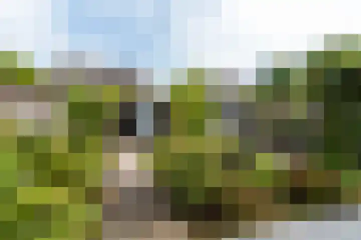 Lage Kamp 16 Denekamp thumbnail 37