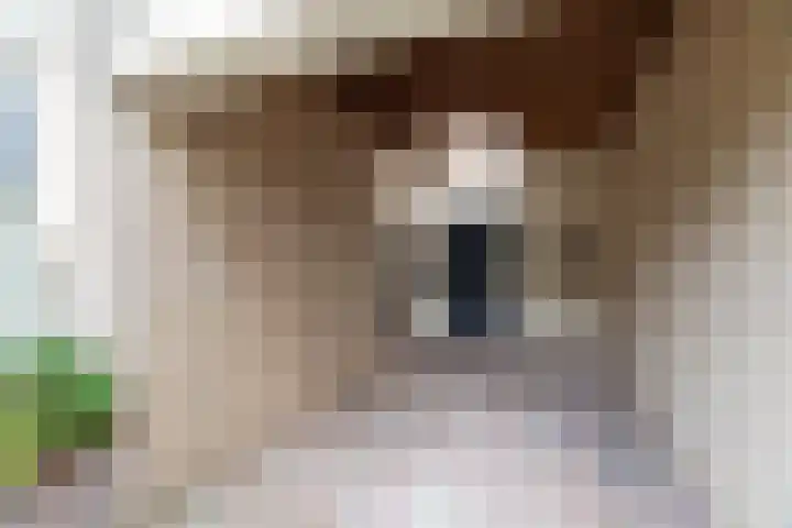 Lage Kamp 16 Denekamp thumbnail 38