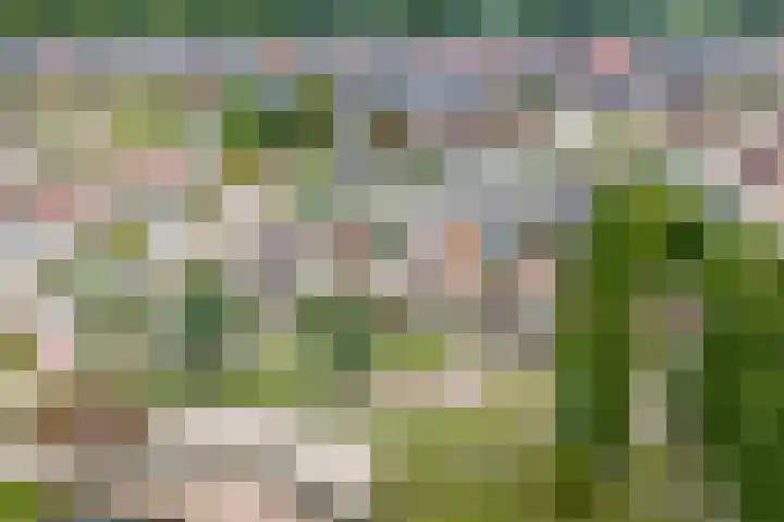 Lage Kamp 16 Denekamp thumbnail 45