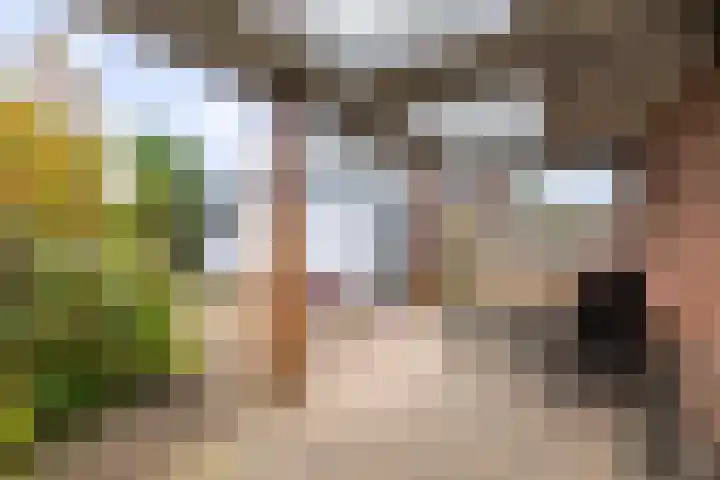 Lage kamp 7 Terwolde thumbnail 32