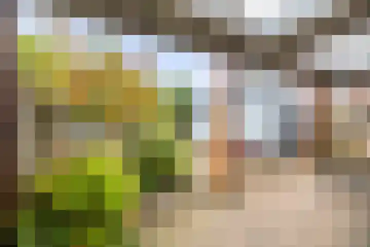 Lage kamp 7 Terwolde thumbnail 33