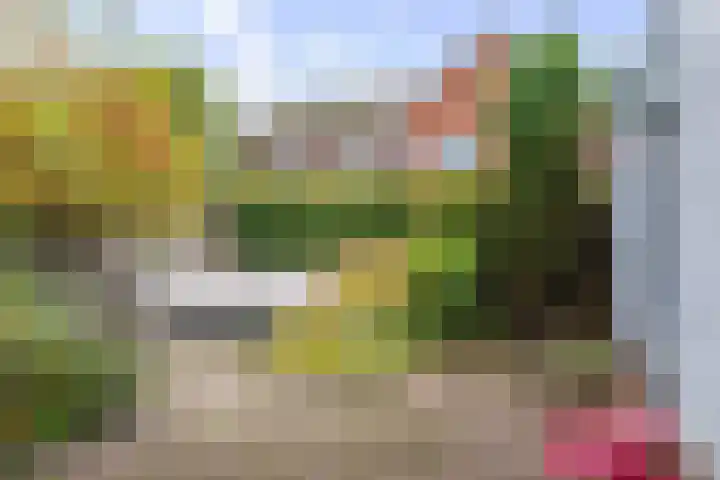 Lage kamp 7 Terwolde thumbnail 34