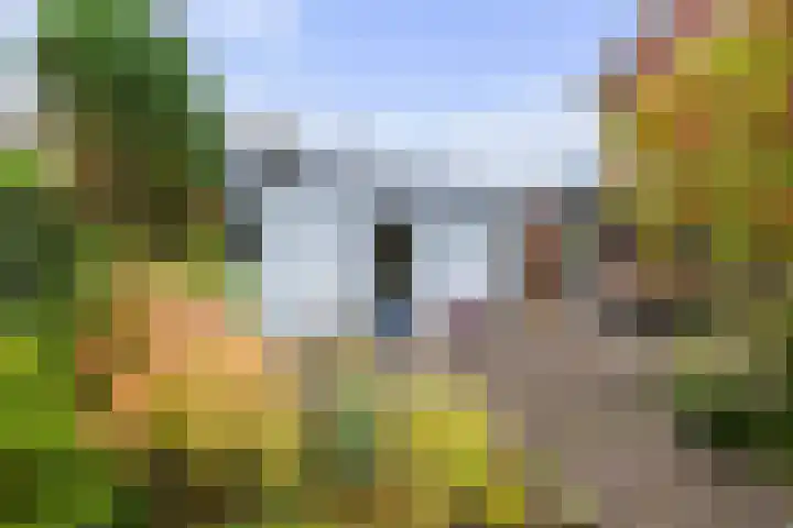 Lage kamp 7 Terwolde thumbnail 35