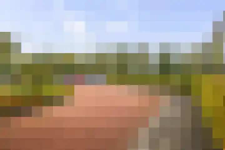 Lage kamp 7 Terwolde thumbnail 37
