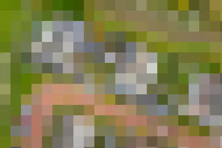 Lage kamp 7 Terwolde thumbnail 39