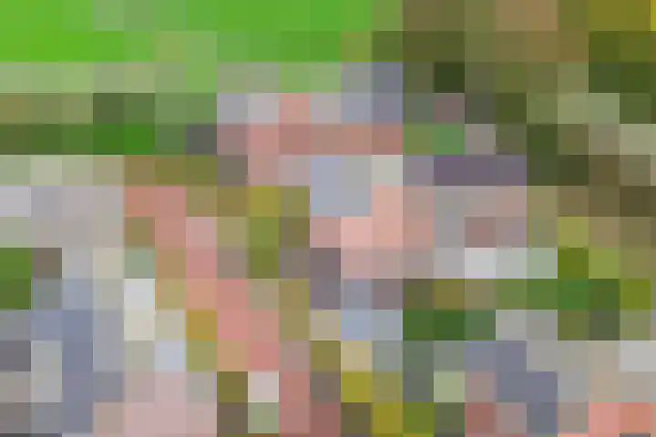 Lage kamp 7 Terwolde thumbnail 40
