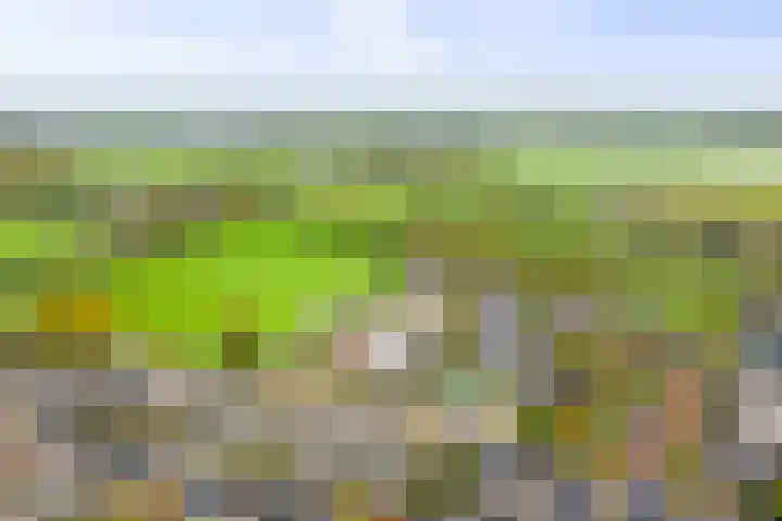 Lage kamp 7 Terwolde thumbnail 43