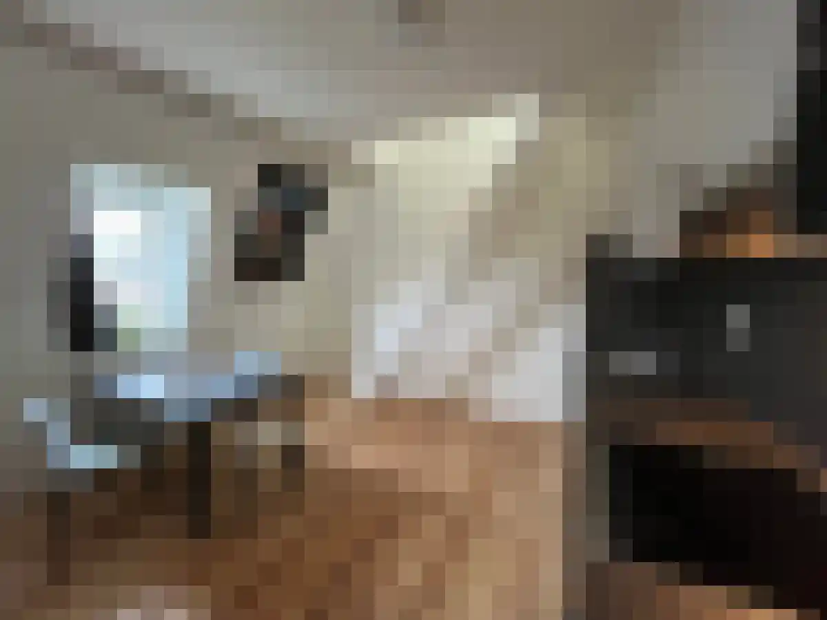 Lage Kanaaldijk 1 Maastricht thumbnail 4