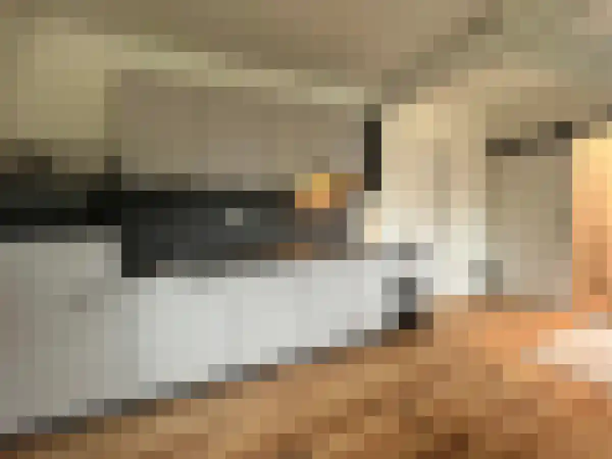 Lage Kanaaldijk 1 Maastricht thumbnail 5