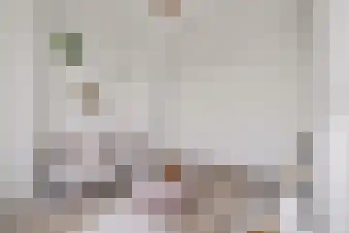 Lage Kanaaldijk 124 Maastricht thumbnail 7