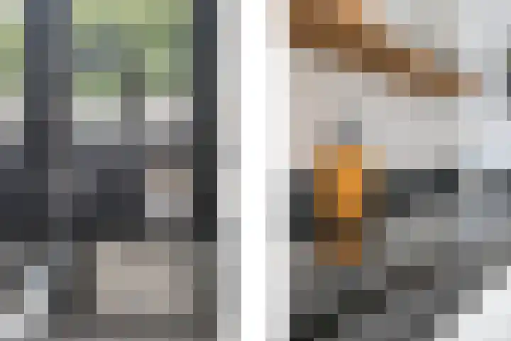 Lage Kanaaldijk 24 Maastricht thumbnail 10