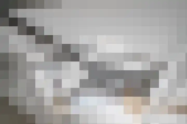 Lage Kanaaldijk 24 Maastricht thumbnail 26
