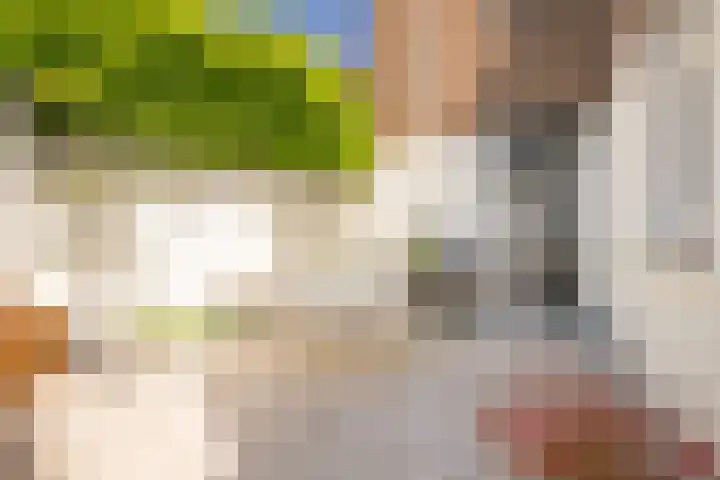 Lage Kanaaldijk 24 Maastricht thumbnail 30