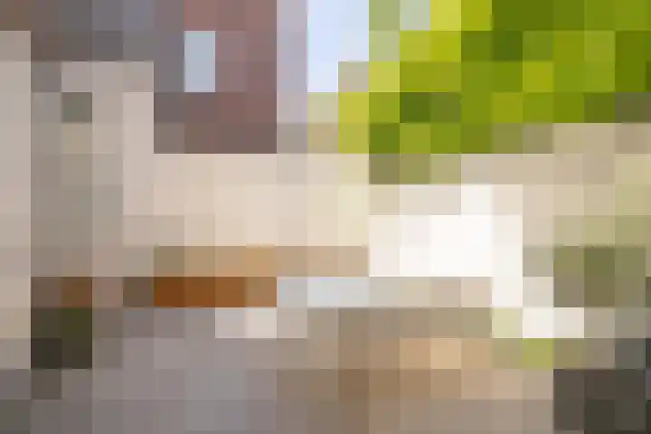 Lage Kanaaldijk 24 Maastricht thumbnail 31