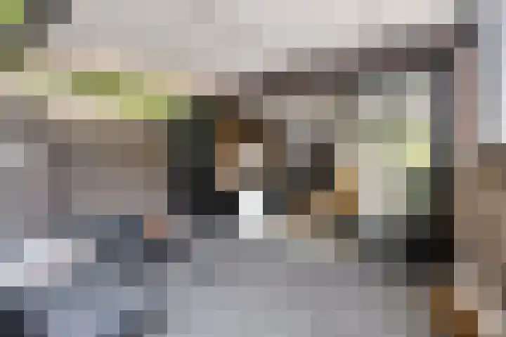 Lage Kanaaldijk 6 Maastricht thumbnail 12