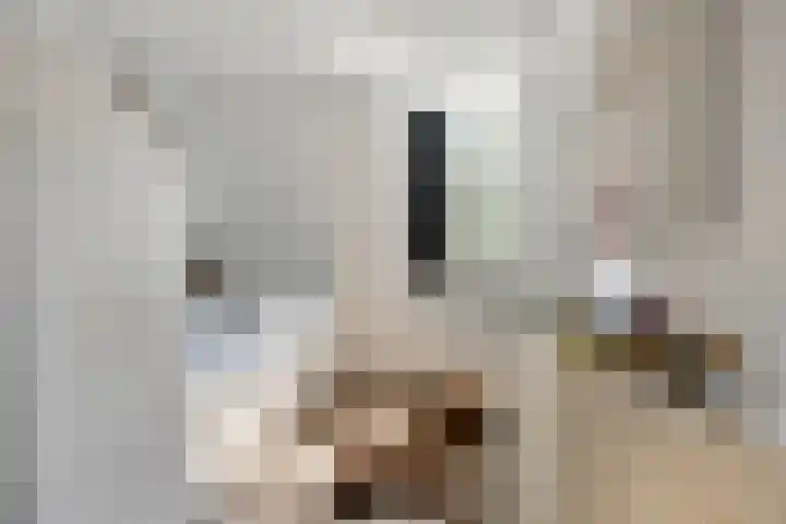 Lage Kanaaldijk 6 Maastricht thumbnail 22