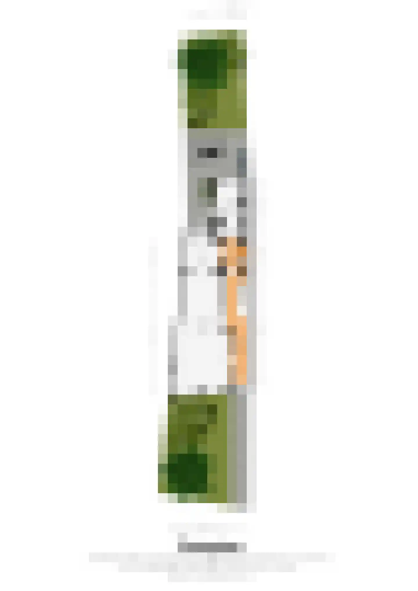 Lage Kanaaldijk 7 Maastricht thumbnail 22