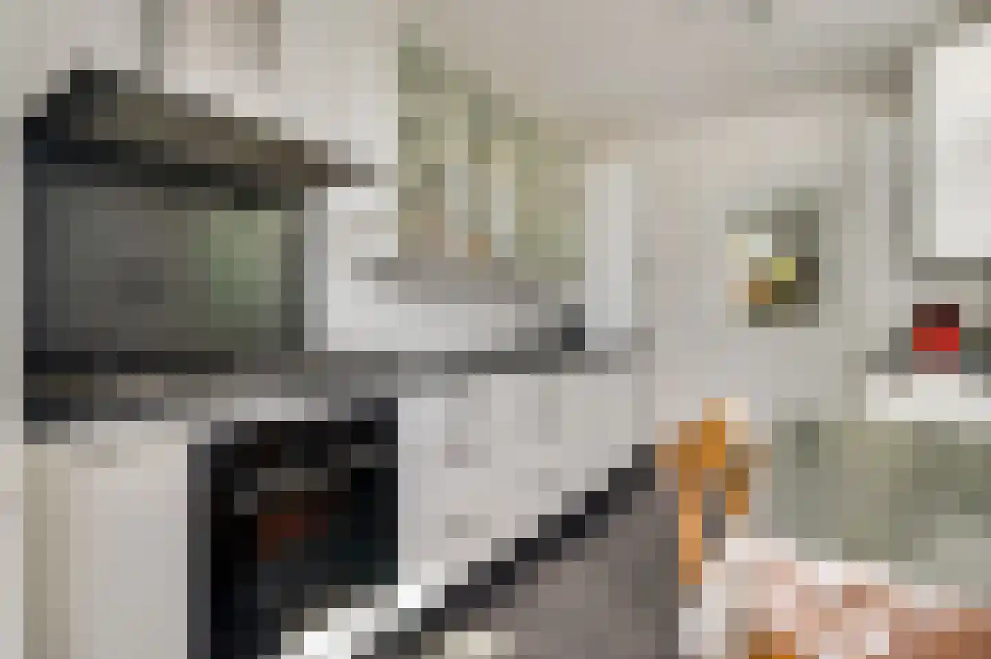 Lage Kanaaldijk 7 Maastricht thumbnail 4