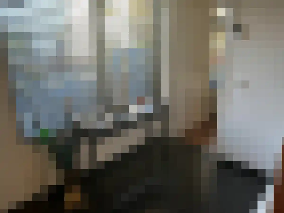 Lage Kanaaldijk Maastricht thumbnail 5
