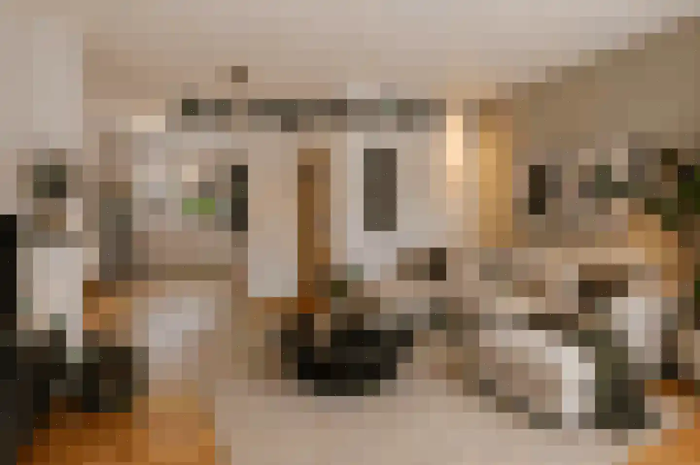 Lage Kant 10 Breda thumbnail 10