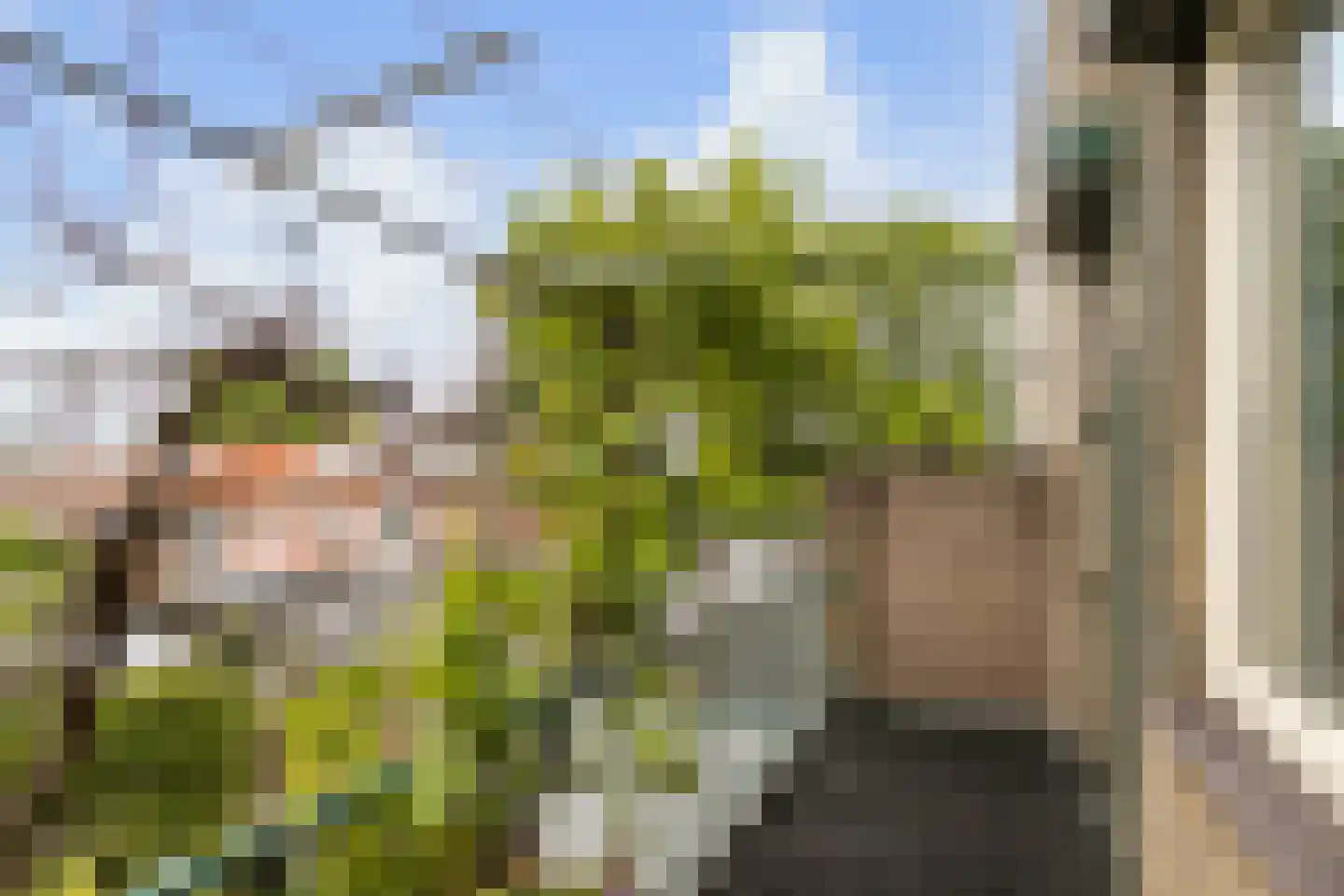 Lage Kant 10 Breda thumbnail 18