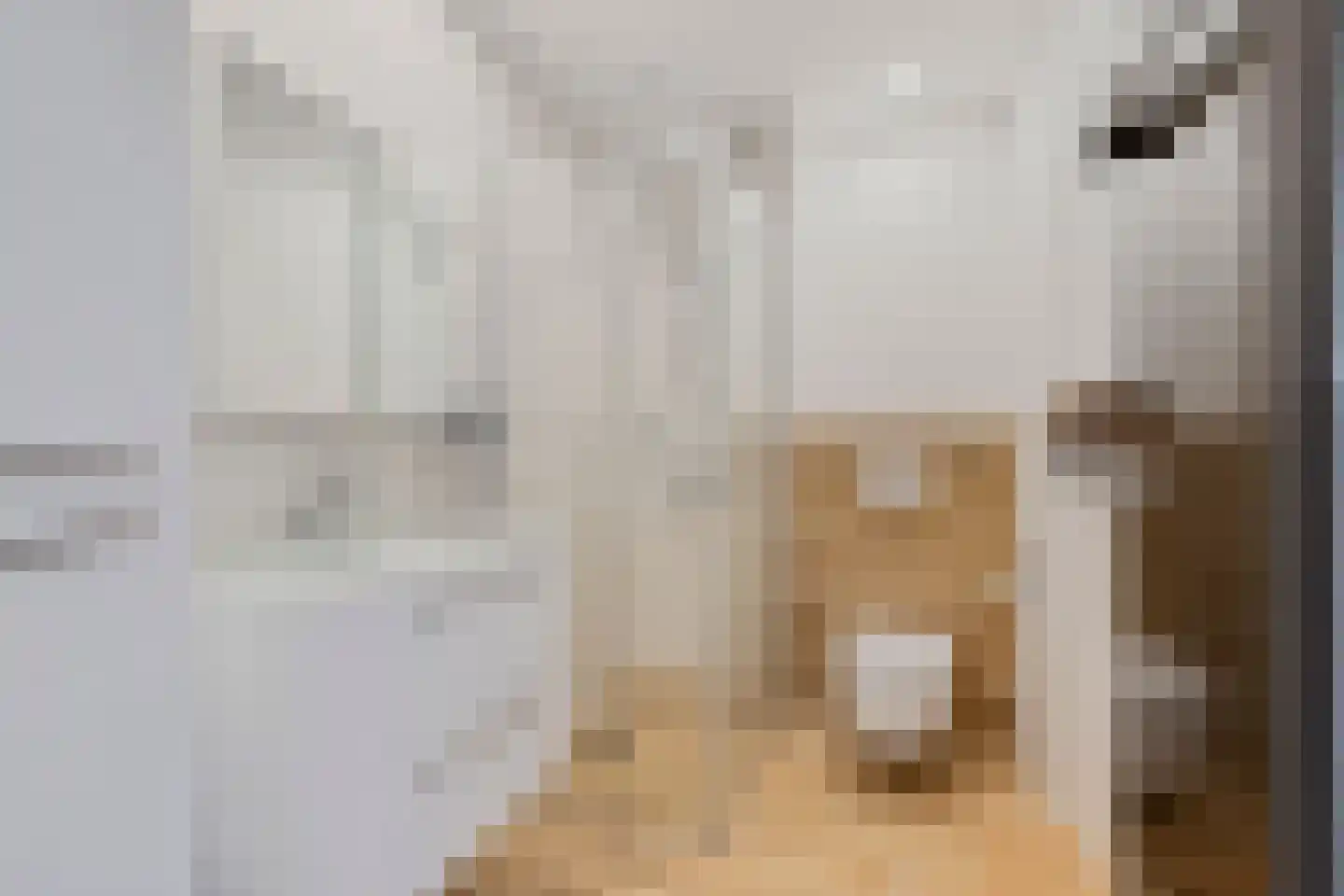 Lage Kant 10 Breda foto 3