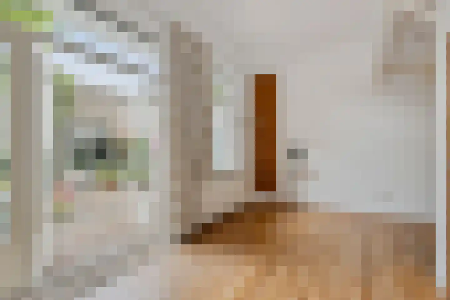 Lage Kant 10 Breda thumbnail 30