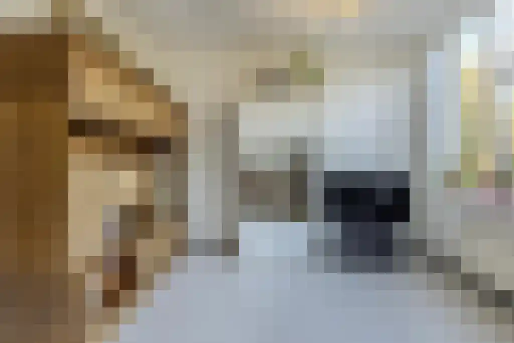 Lage Kant 14 A Breda thumbnail 15