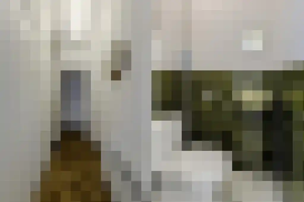 Lage Kant 14 A Breda thumbnail 20