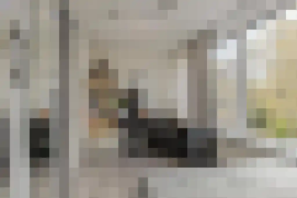 Lage Kant 14 A Breda thumbnail 29