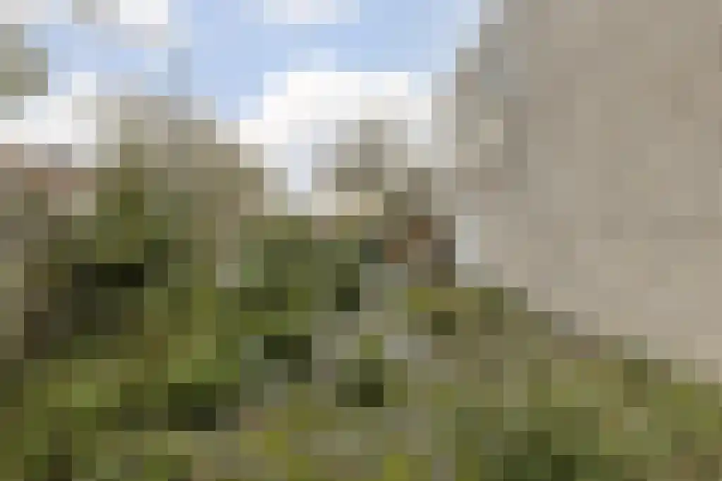 Lage Kant 14 A Breda thumbnail 34