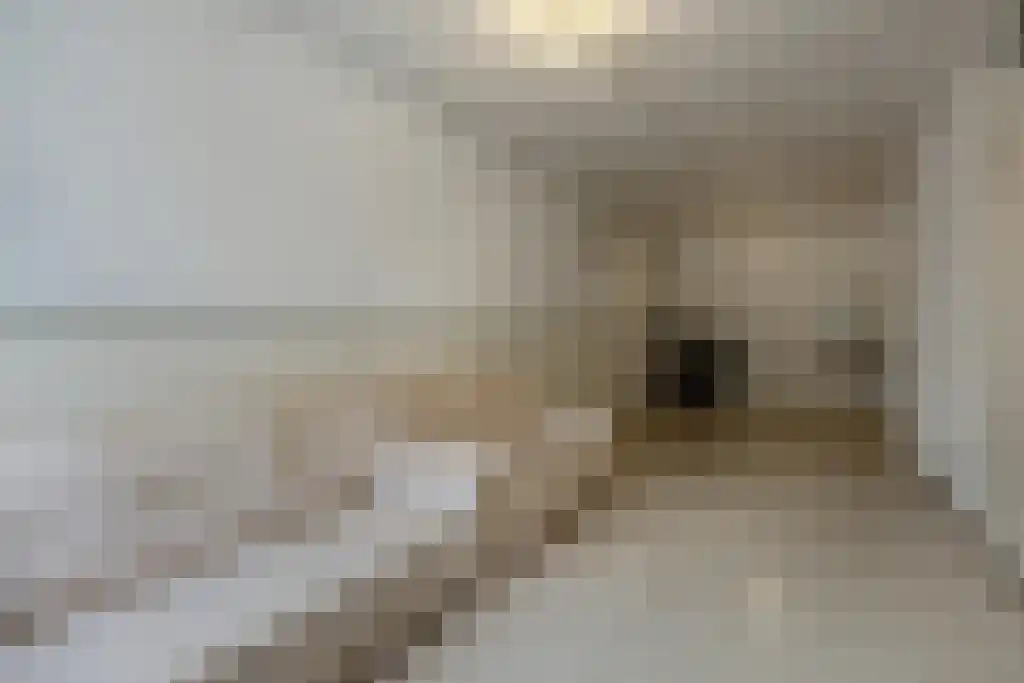 Lage Kant 14 A Breda thumbnail 5
